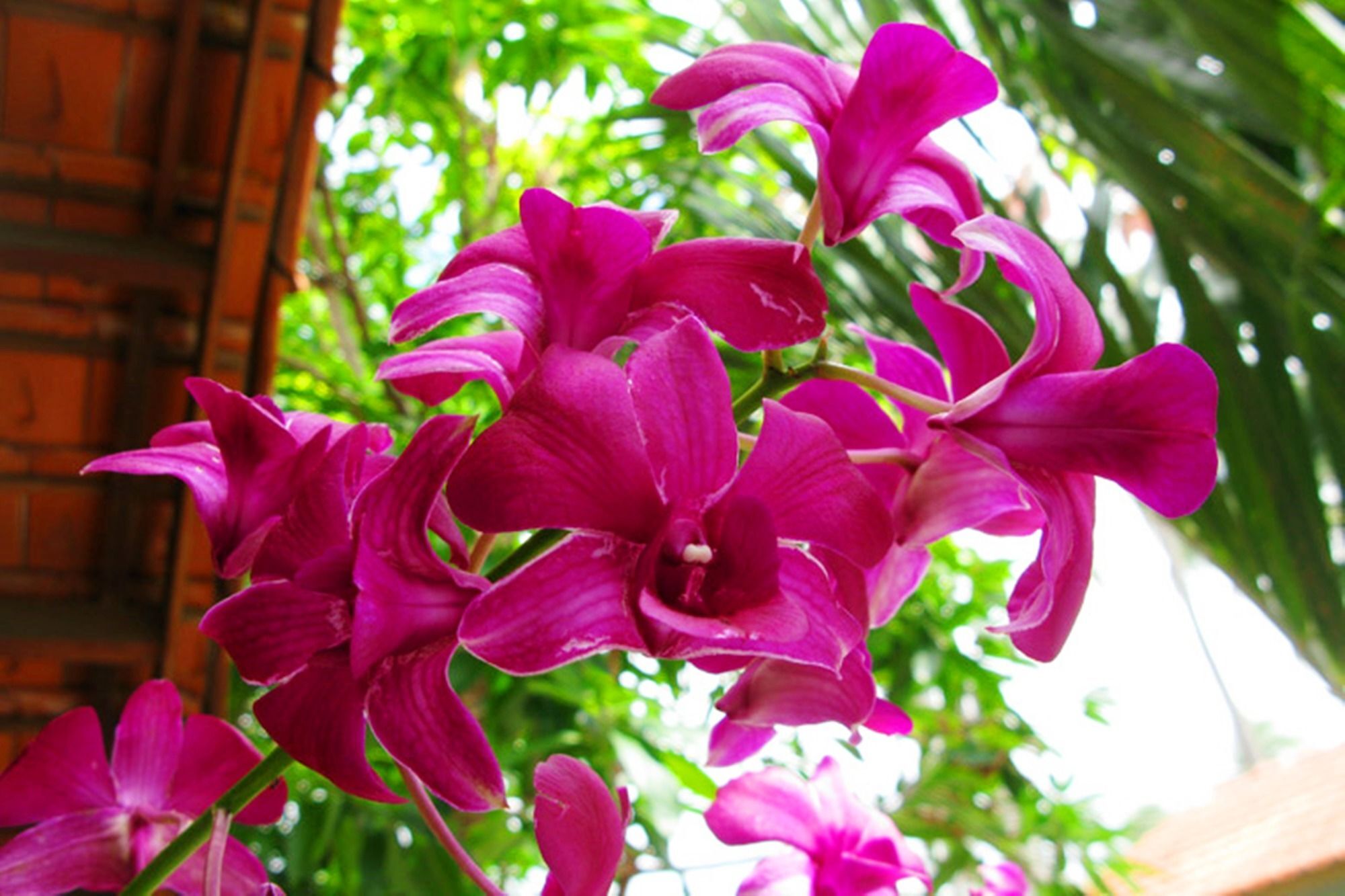 Hiep Hoa Resort Mui Ne Esterno foto